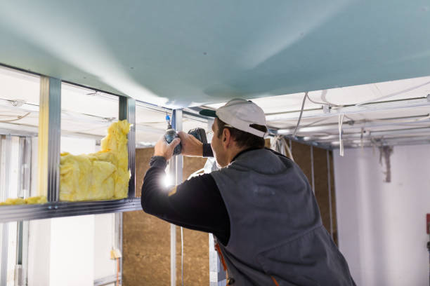 Best Insulation Maintenance and Repair in Kannapolis, NC