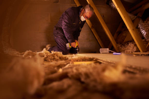Best Eco-Friendly Insulation in Kannapolis, NC