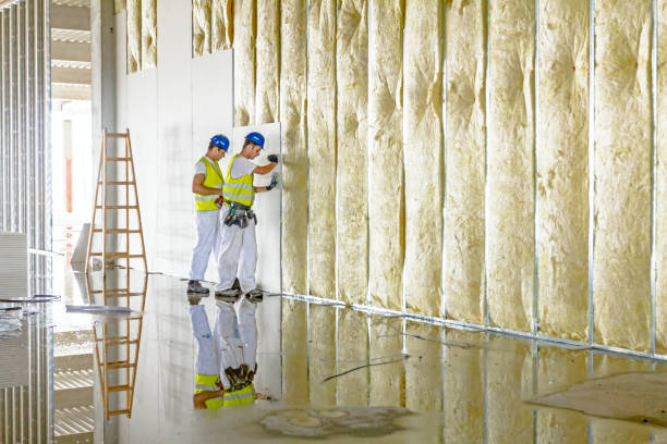 Best Commercial Insulation in Kannapolis, NC